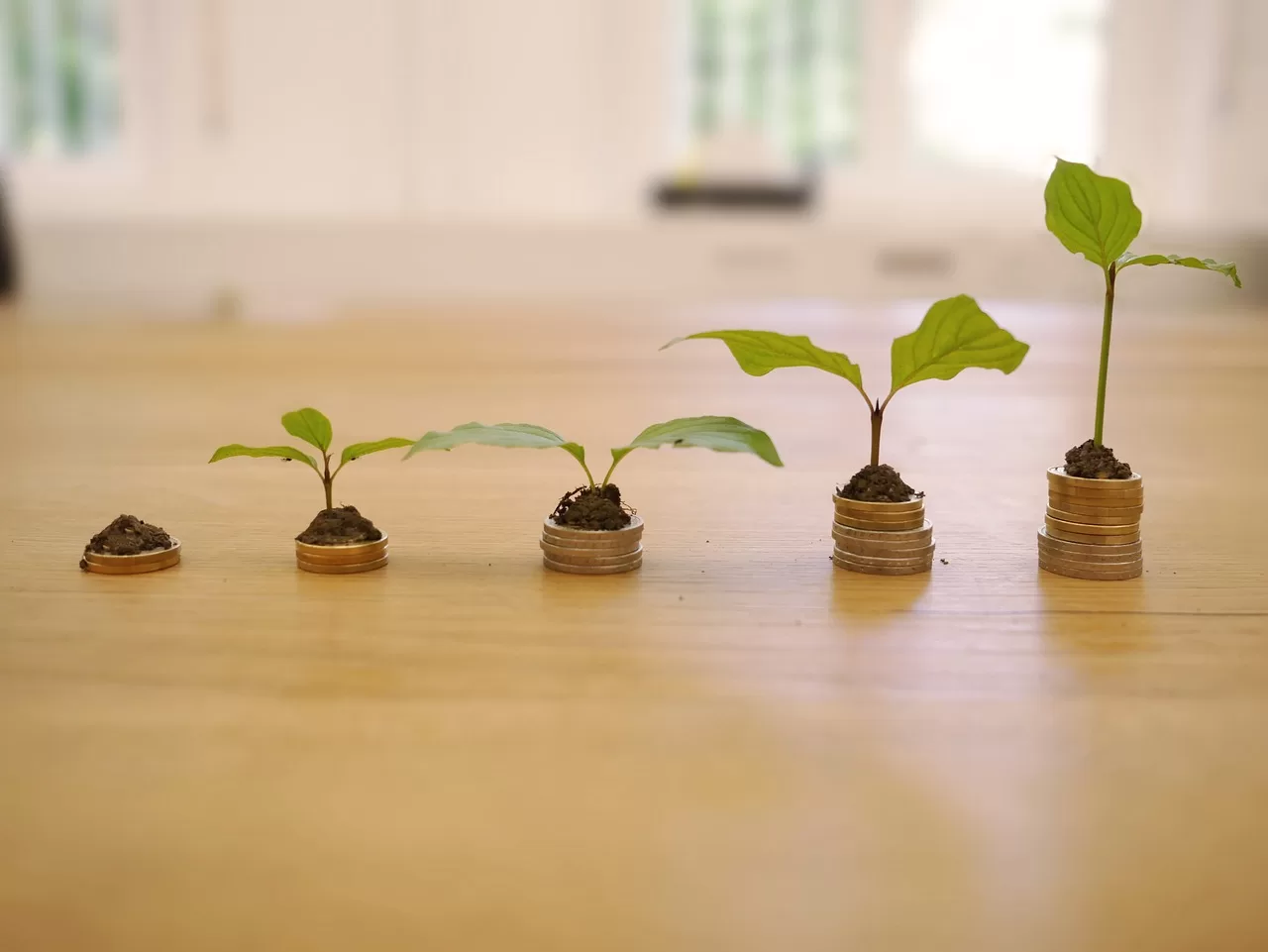 Plantas crescendo em moedas representando juros compostos e crescimento do patrimônio