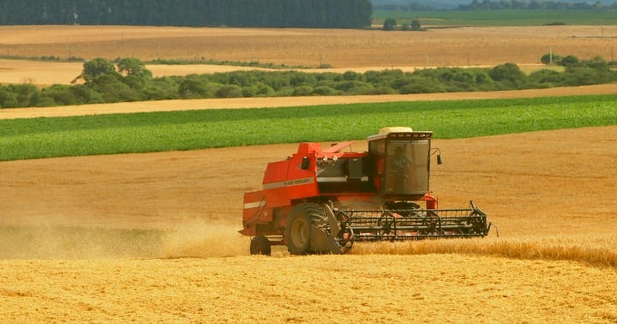 Colheitadeira vermelha em lavoura dourada representando LCA Letra de Crédito do Agronegócio