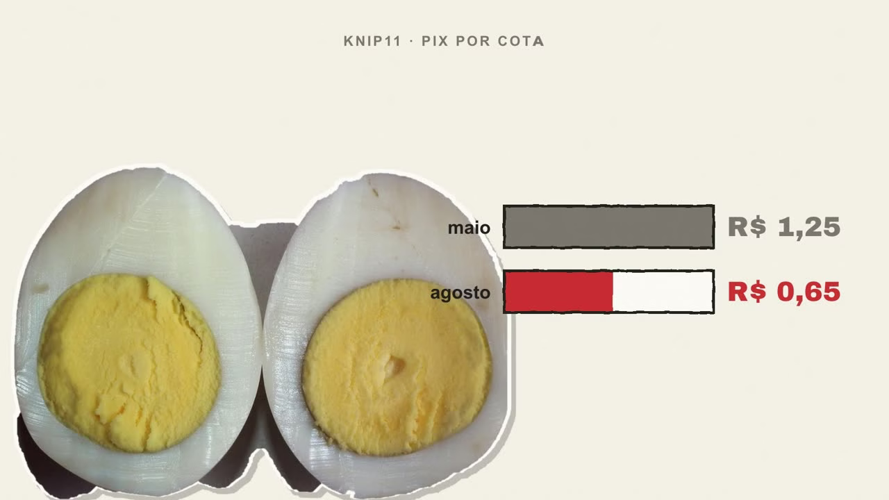 KNIP11 pagou R$ 1,25 por cota em maio e R$ 0,65 em agosto